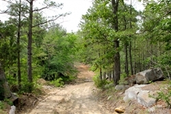 Oklahoma, PushmatahaCounty, 9.59 Acre Trophy Ridge III. TERMS $185/Month.