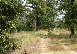 Oklahoma, Pushmataha County, 5.73 Acre Lake View Private Reserve Lot 10, Pond, Electricity. TERMS $534/Month
