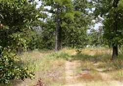 Oklahoma, Pushmataha County, 5.73 Acre Lake View Private Reserve. TERMS $296/Month