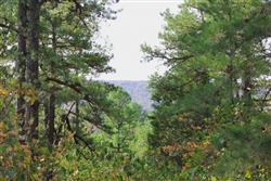 Oklahoma, Pushmataha County, 20.2 Acre Trophy Ridge. TERMS $325/Month