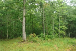 Tennessee, Wayne County, 7.94  Acre Sugartree Falls. TERMS $460/Month