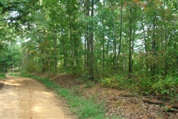 Tennessee, Wayne County, 5.23  Acre Sugartree Falls. TERMS $210/Month.