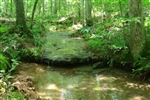 Tennessee, Wayne County, 6.2  Acre Sugartree Falls. TERMS $285/Month.
