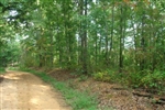 Tennessee, Wayne County, 5.67  Acre Sugartree Falls. TERMS $250/Month.