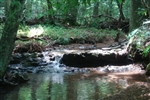 Tennessee, Wayne County, 10.66  Acre Sugartree Falls. TERMS $430/Month