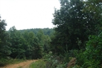 Tennessee, Wayne County, 5.12 Acre Sugartree Falls, , Creek, Waterfall. TERMS $370/Month