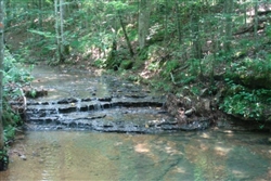 Tennessee, Wayne County, 20.63  Acre Sugartree Falls. TERMS $500/Month