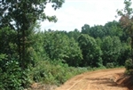 Tennessee, Wayne County, 6.48 Acre Sugartree Falls. TERMS $384/Month