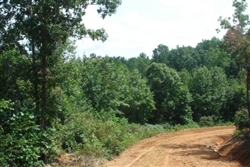 Tennessee, Wayne County, 9.06  Acre Sugartree Falls. TERMS $310/Month