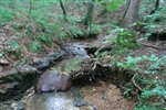 Tennessee, Wayne County, 21.58  Acre Sugartree Falls. TERMS $480/Month