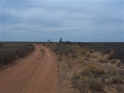 Texas, Cochran County, 2 Acre Western Vistas. TERMS $75/Month