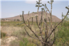 Sierra Blanca Lot, Hudspeth County, TX