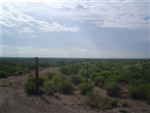 Texas, Reeves County, 70 Acres near Pecos. TERMS $400/Month