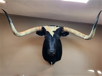 Longhorn Mount - White & Black