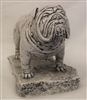 Bulldog by Terrance Patterson