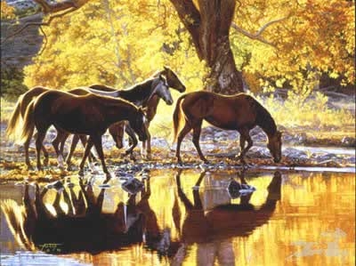 Autumn's Amber Glow by Tim Cox