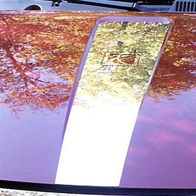 Saturn Ion Chrome Hood Accent Trim, 2005, 2006, 2007