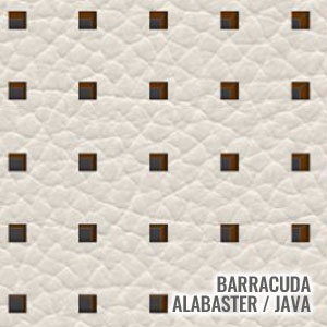 Katzkin Color Barracuda Alabaster / Java