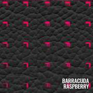 Katzkin Color Barracuda Raspberry