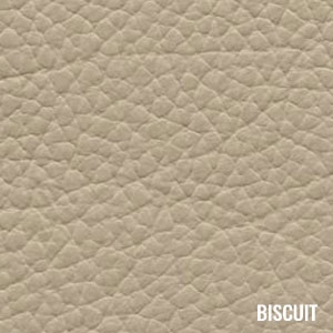 Katzkin Color Biscuit