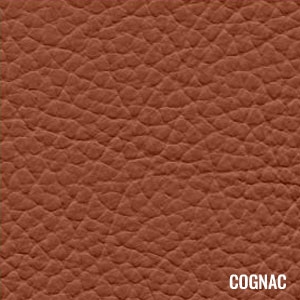 Katzkin Color Cognac