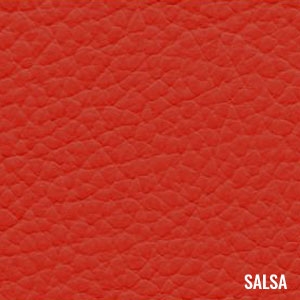 Katzkin Color Salsa