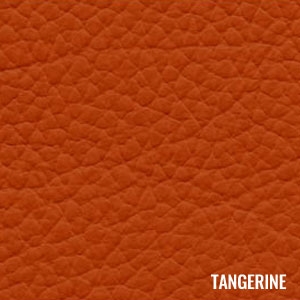 Katzkin Color Tangerine