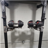 Dumbbell Trays - Convenient Storage Solution for Squat Racks by Black Widow Training Gear
