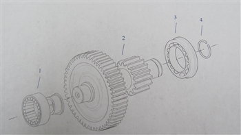 Eaton Fuller Counter shaft Gear P/N: 19255