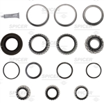 Dana Spicer Kit Bearing D170D S170E  P/N: 504126 Light Axle