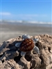 Enamel Sea Turtle Pendant