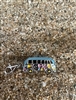 Hippie Bus Charm