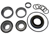 Bearing, races, oring, spacer & seal Kit (Daytona) Small Alum. Pinion Support