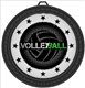 Volleyball Medal