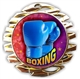 Boxing Medal