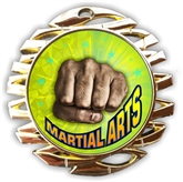 Martial Arts Medal