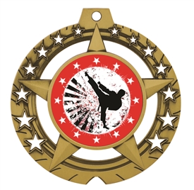 Martial Arts Medal