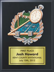 Swimming Plaque