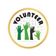 Volunteer Pin