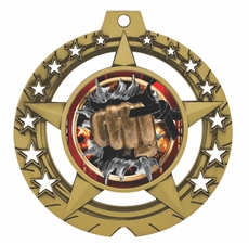 Martial Arts Medal