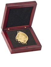 Medal Presentation Case