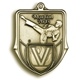 Martial Arts Medal