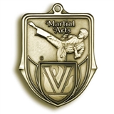 Martial Arts Medal