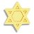 Star of David Pin