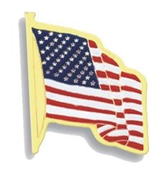 American Flag Pin