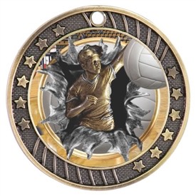 Volleyball Medal