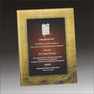 Art plaque acrylic award