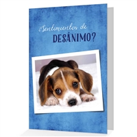 Desanimo - Tarjeta postal para animo