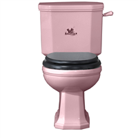 TRTC Churchill Pink Close-Coupled Toilet