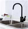 Black Kitchen Faucet